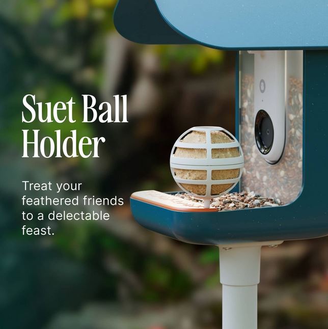 Birdbuddy Suet Ball Holder for Smart Bird Feeder White