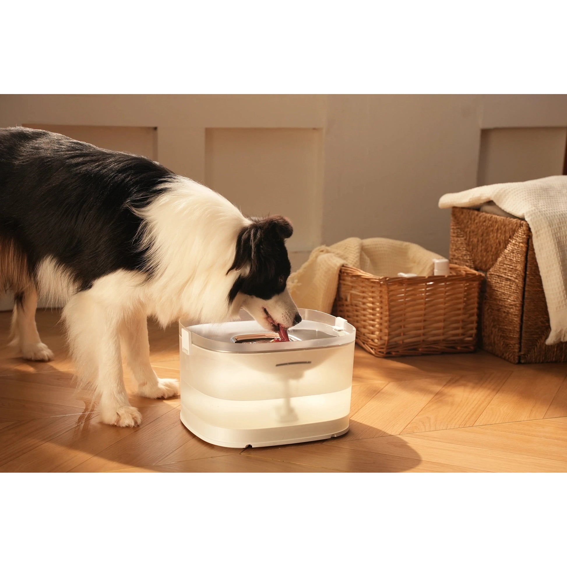 Cheerble Elfin D1 Pro Wireless Pet Water Fountain for Dogs 4L Battery & USB-C DC 5V Powered