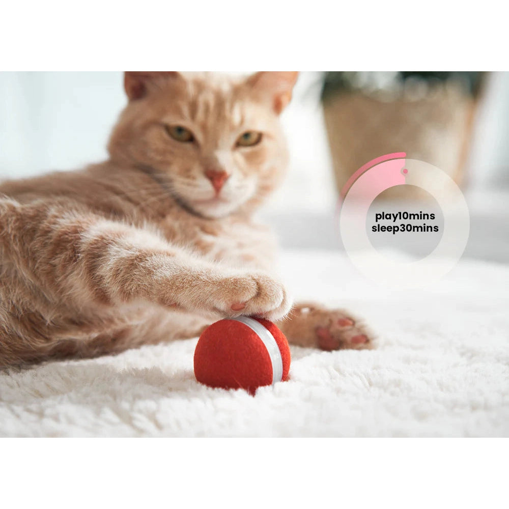 Cheerble M3 Mini Cat Ball Interactive Smart Cat Toy Vintage Red