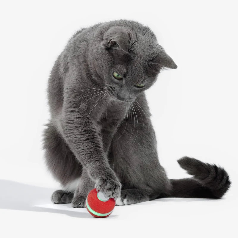 Cheerble M3 Mini Cat Ball Interactive Smart Cat Toy Vintage Red
