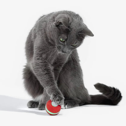 Cheerble M3 Mini Cat Ball Interactive Smart Cat Toy Vintage Red