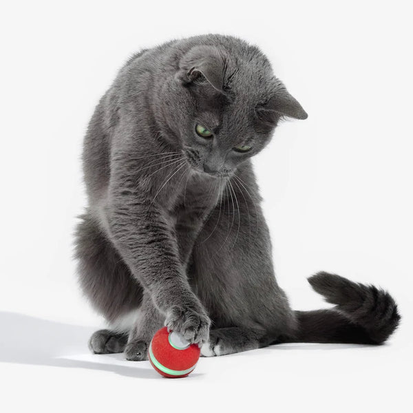 Cheerble M3 Mini Cat Ball Interactive Smart Cat Toy Vintage Red