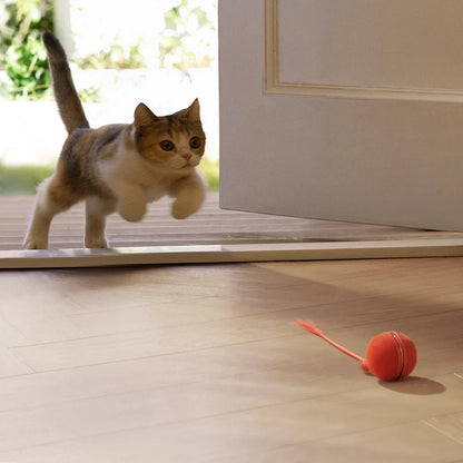 Cheerble Wicked Ball Duo 2 Interactive Smart Cat Toy Wickedball Vintage Red