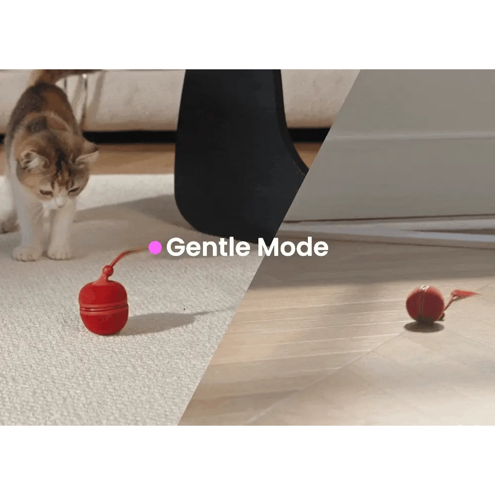 Cheerble Wicked Ball Duo 2 Interactive Smart Cat Toy Wickedball Vintage Red