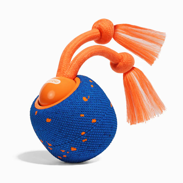 Cheerble Wicked Ball Rolly Interactive Dog Ball Smart Dog Toy Royal Blue