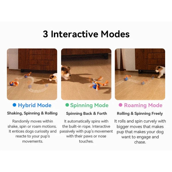 Cheerble Wicked Ball Rolly Interactive Dog Ball Smart Dog Toy Royal Blue