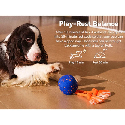 Cheerble Wicked Ball Rolly Interactive Dog Ball Smart Dog Toy Royal Blue