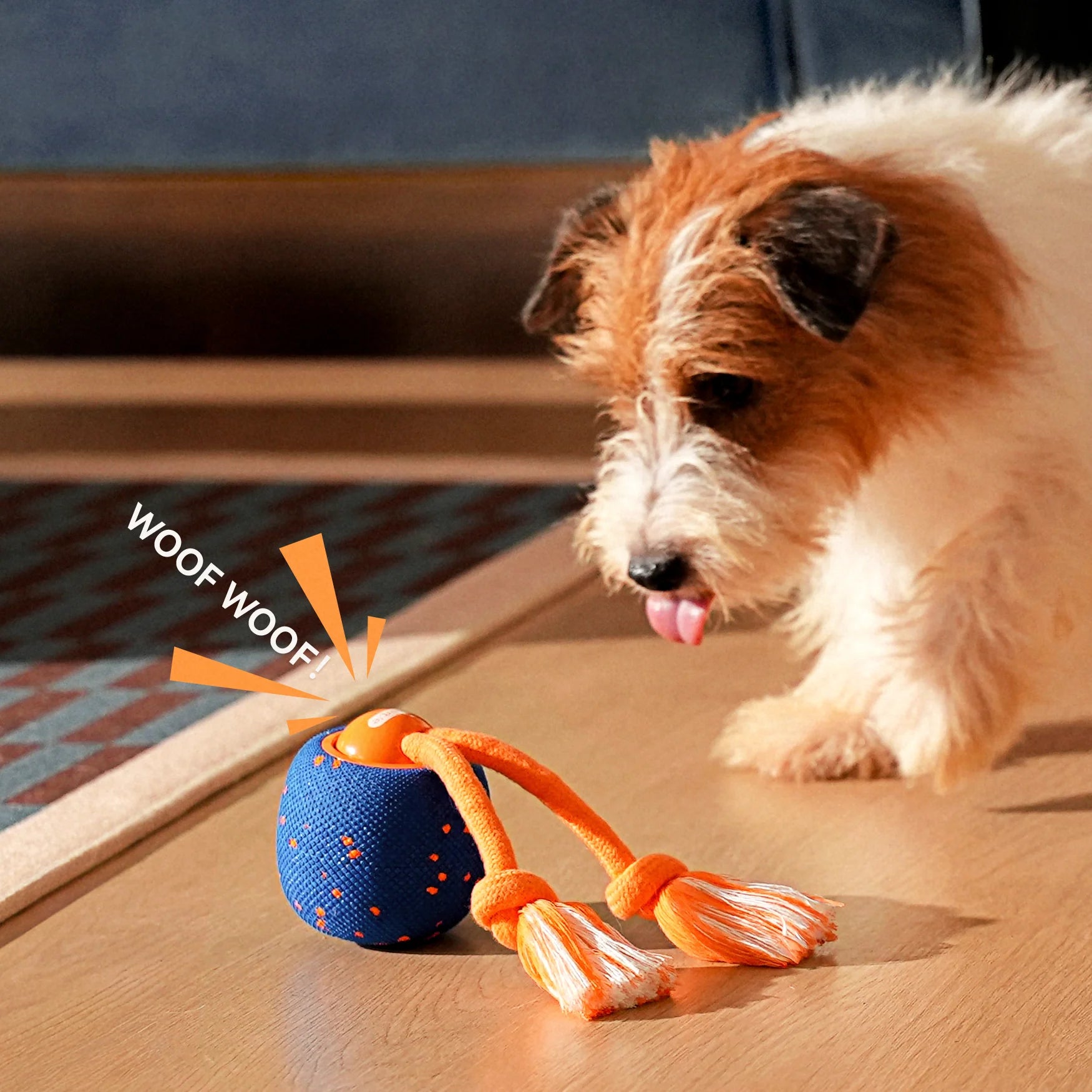 Cheerble Wicked Ball Rolly Interactive Dog Ball Smart Dog Toy Royal Blue