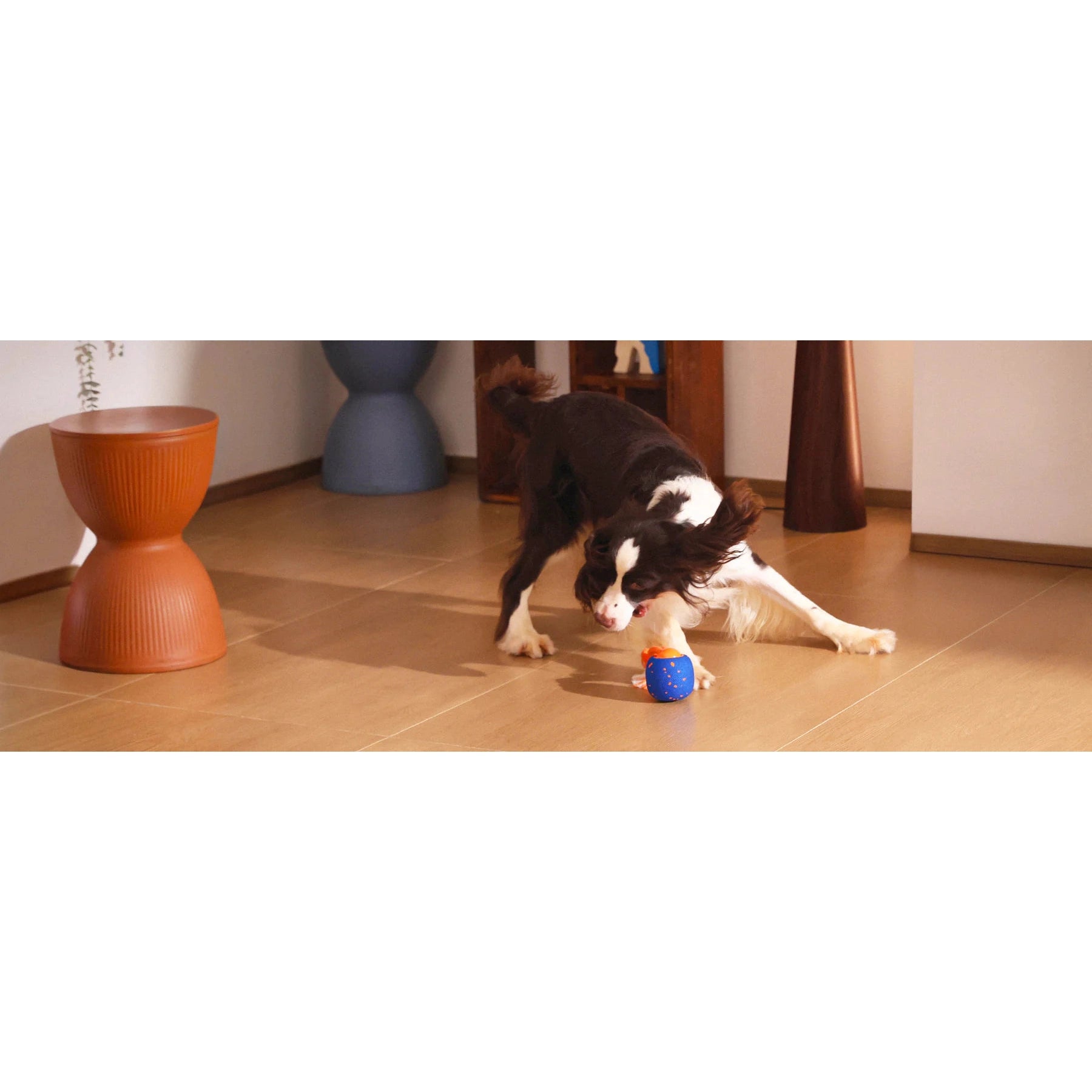Cheerble Wicked Ball Rolly Interactive Dog Ball Smart Dog Toy Royal Blue