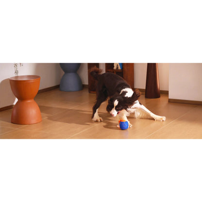 Cheerble Wicked Ball Rolly Interactive Dog Ball Smart Dog Toy Royal Blue