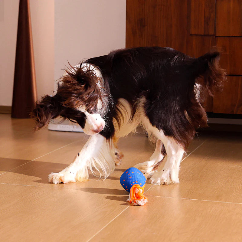 Cheerble Wicked Ball Rolly Interactive Dog Ball Smart Dog Toy Royal Blue