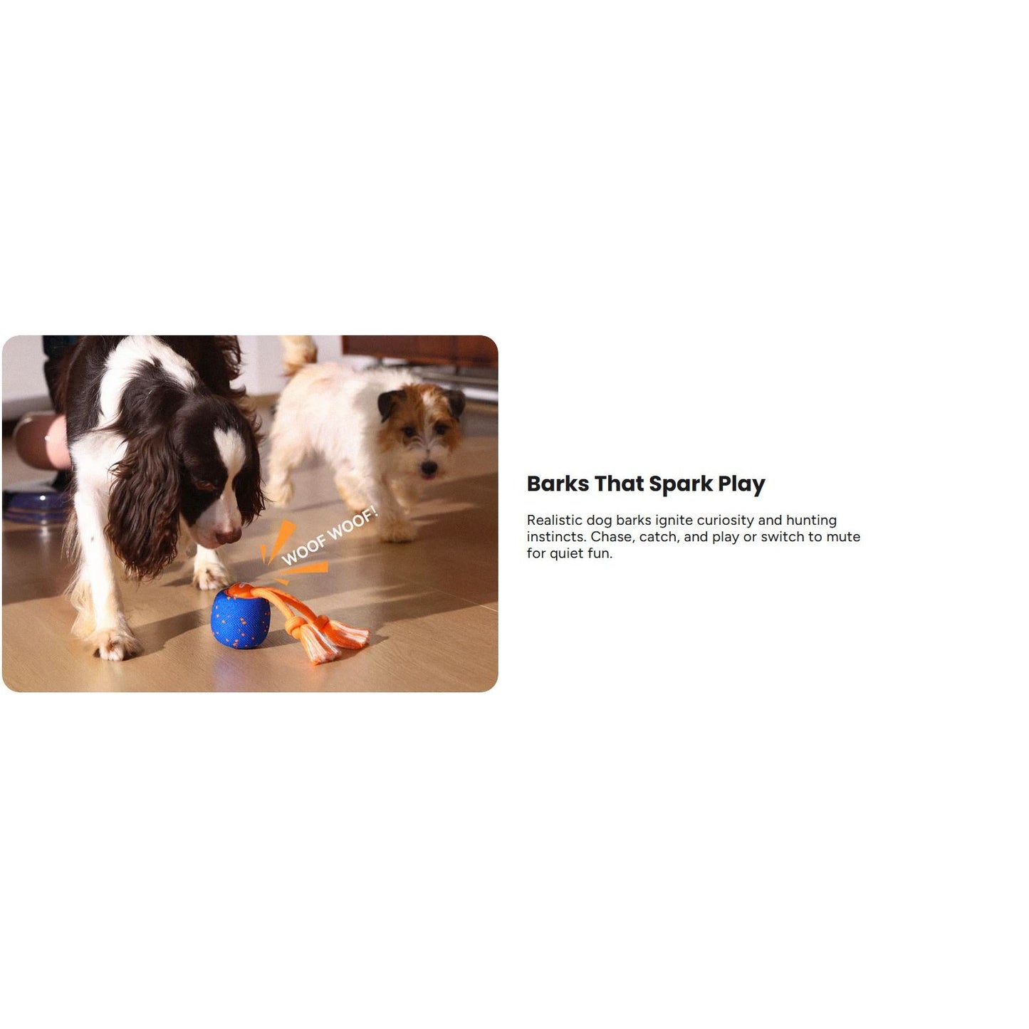 Cheerble Wicked Ball Rolly Interactive Dog Ball Smart Dog Toy Royal Blue