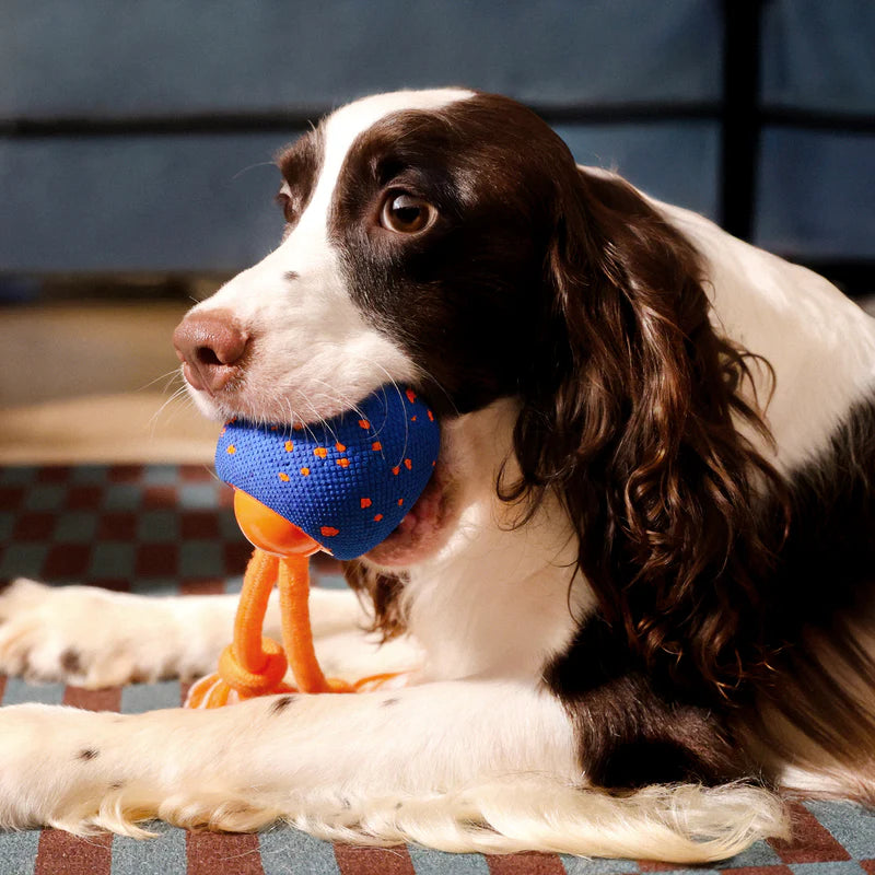 Cheerble Wicked Ball Rolly Interactive Dog Ball Smart Dog Toy Royal Blue