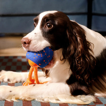 Cheerble Wicked Ball Rolly Interactive Dog Ball Smart Dog Toy Royal Blue