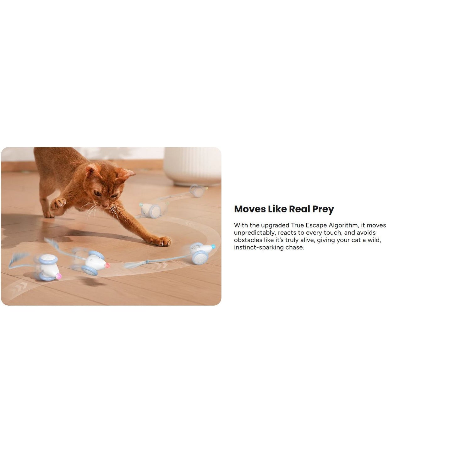Cheerble Wicked Mouse Neo Interactive Smart Cat Toy Milky Blue