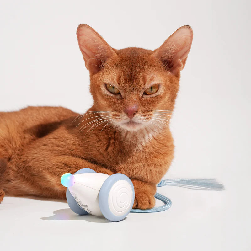 Cheerble Wicked Mouse Neo Interactive Smart Cat Toy Milky Blue