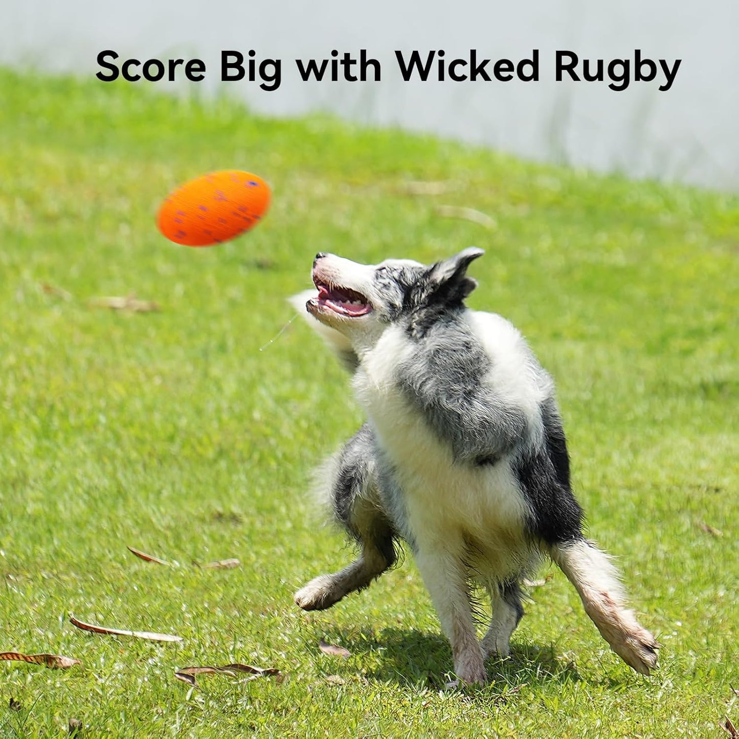 Cheerble Wicked Rugby Ball Interactive Dog Ball Smart Dog Toy Bright Orange