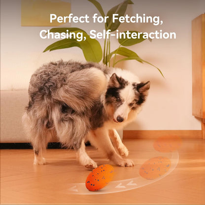 Cheerble Wicked Rugby Ball Interactive Dog Ball Smart Dog Toy Bright Orange