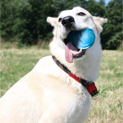 Cheerble Wicked Ball Cyclone All-Terrain Dog Ball Smart Dog Toy Blue