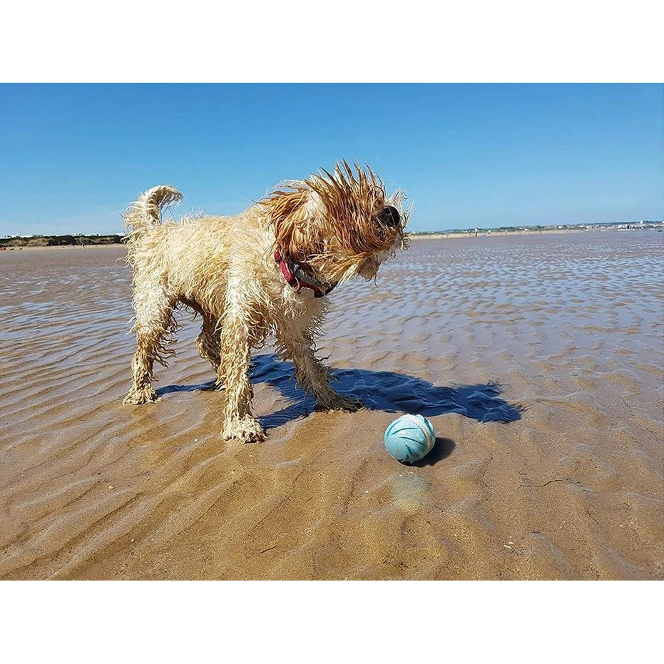 Cheerble Wicked Ball Cyclone All-Terrain Dog Ball Smart Dog Toy Blue