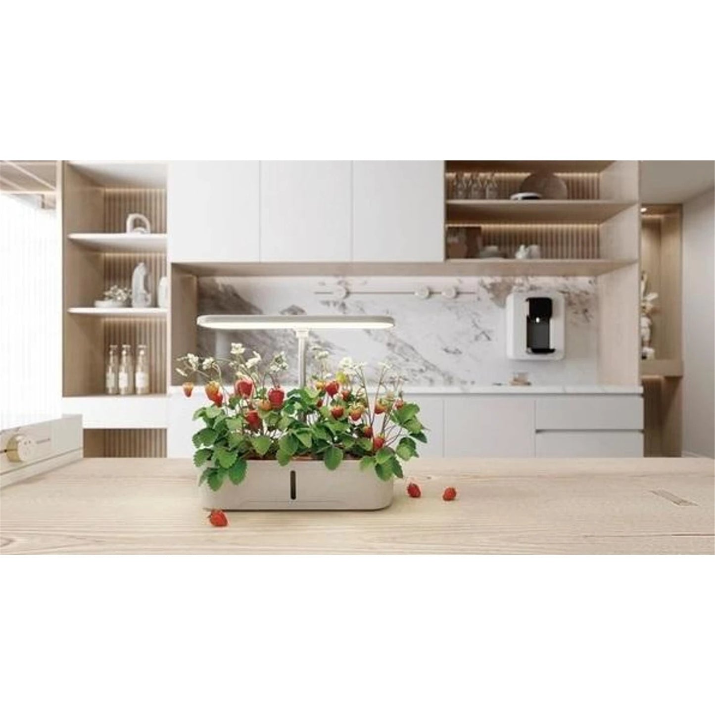 Digitus DA-80000 12-Pod Indoor Garden
