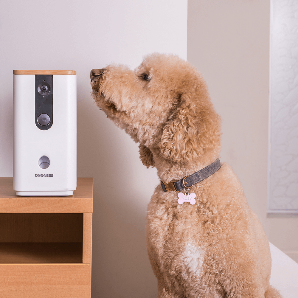 Dogness Smart App Camera Treater Automatic Pet Treat Dispenser Feeder White