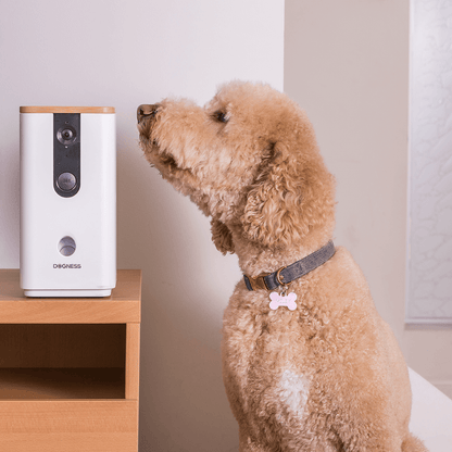 Dogness Smart App Camera Treater Automatic Pet Treat Dispenser Feeder White