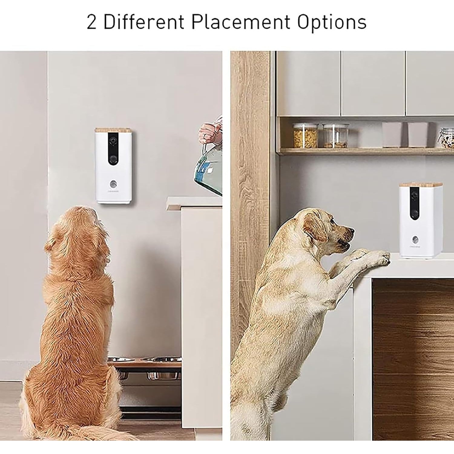Dogness Smart App Camera Treater Automatic Pet Treat Dispenser Feeder White