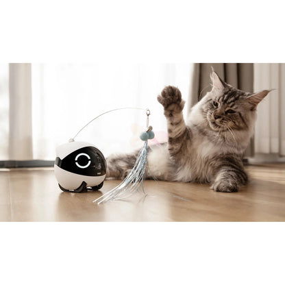 Enabot Rola Mini Pet Monitor Wireless Cat & Dog Companion Camera Robot
