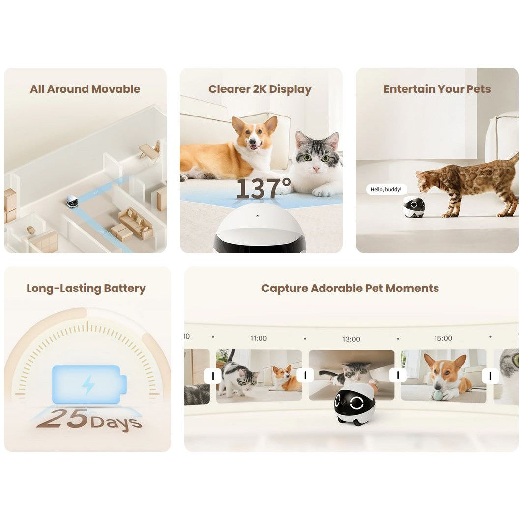 Enabot Rola Mini Pet Monitor Wireless Cat & Dog Companion Camera Robot