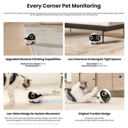 Enabot Rola Mini Pet Monitor Wireless Cat & Dog Companion Camera Robot