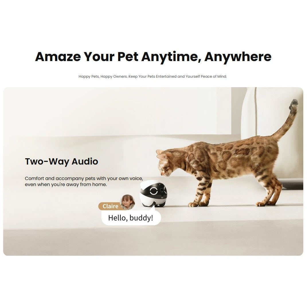 Enabot Rola Mini Pet Monitor Wireless Cat & Dog Companion Camera Robot