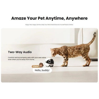 Enabot Rola Mini Pet Monitor Wireless Cat & Dog Companion Camera Robot