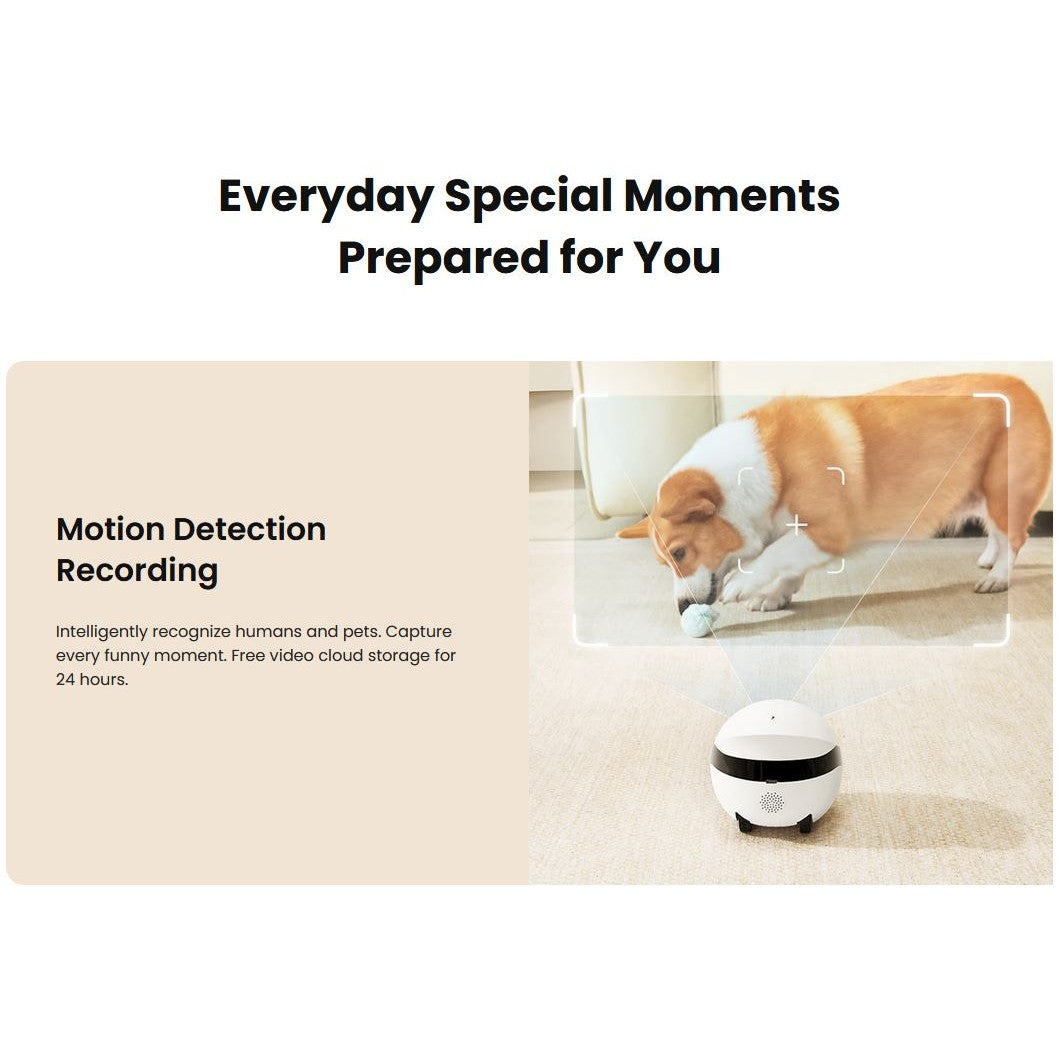 Enabot Rola Mini Pet Monitor Wireless Cat & Dog Companion Camera Robot