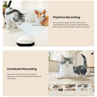 Enabot Rola Mini Pet Monitor Wireless Cat & Dog Companion Camera Robot