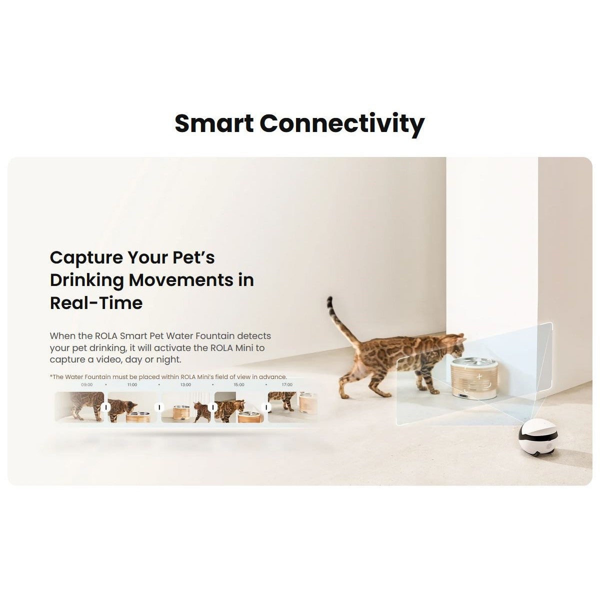 Enabot Rola Mini Pet Monitor Wireless Cat & Dog Companion Camera Robot