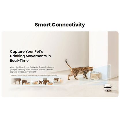 Enabot Rola Mini Pet Monitor Wireless Cat & Dog Companion Camera Robot