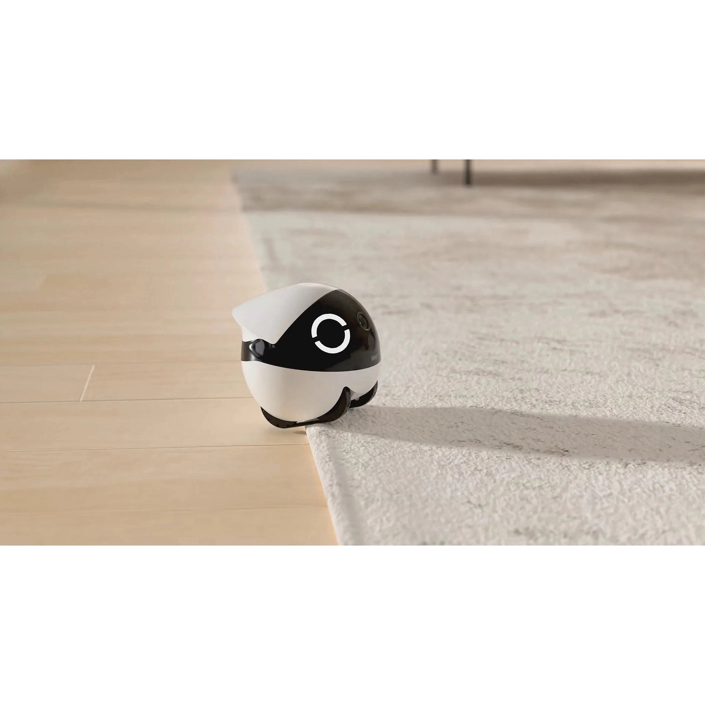 Enabot Rola Mini Pet Monitor Wireless Cat & Dog Companion Camera Robot