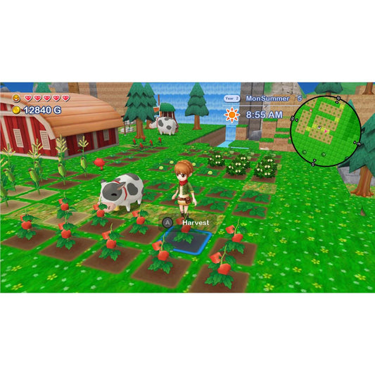 Harvest Moon: The Lost Valley & Skytree Village Double Pack (Nintendo Switch)