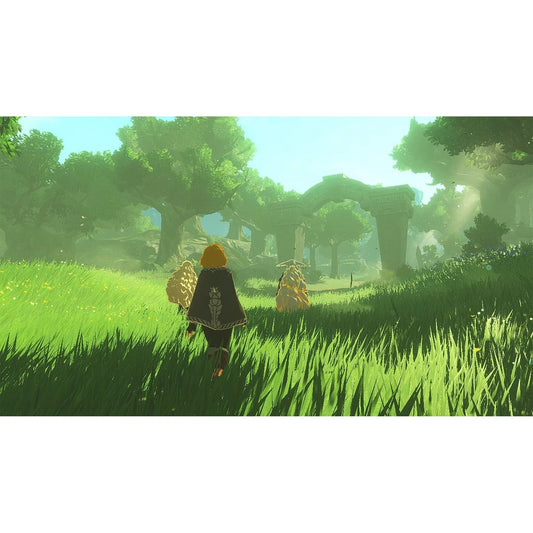Hyrule Warriors - Age of Imprisonment (Nintendo Switch 2)
