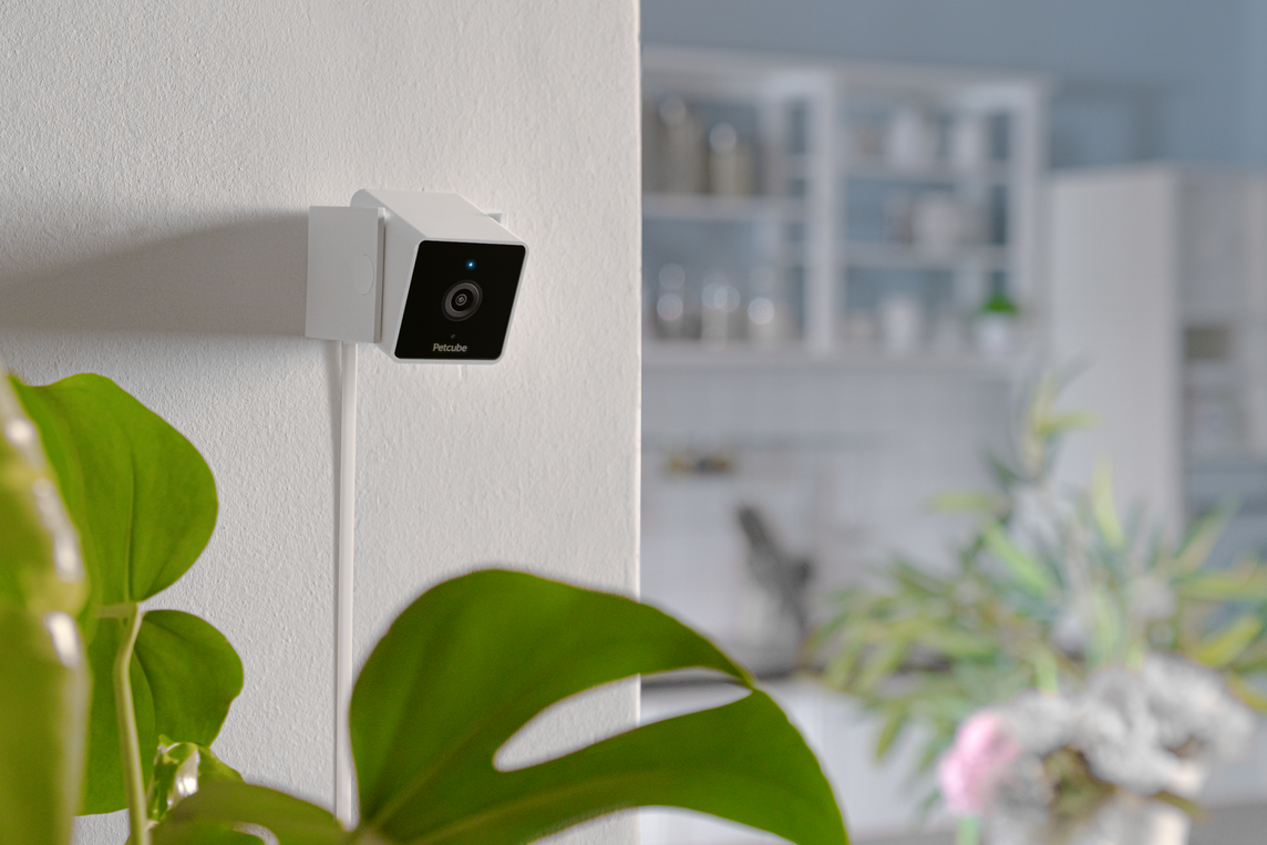 Petcube Cam WiFi 1080p with Night Vision | Cat & Dog Pet Monitoring Camera