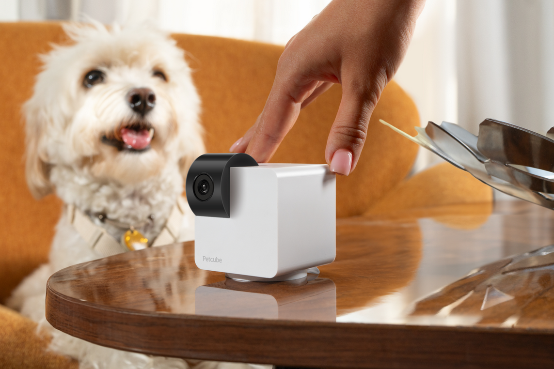 Petcube Cam 360 WiFi 1080p with Night Vision | Cat & Dog Pet Monitoring Camera