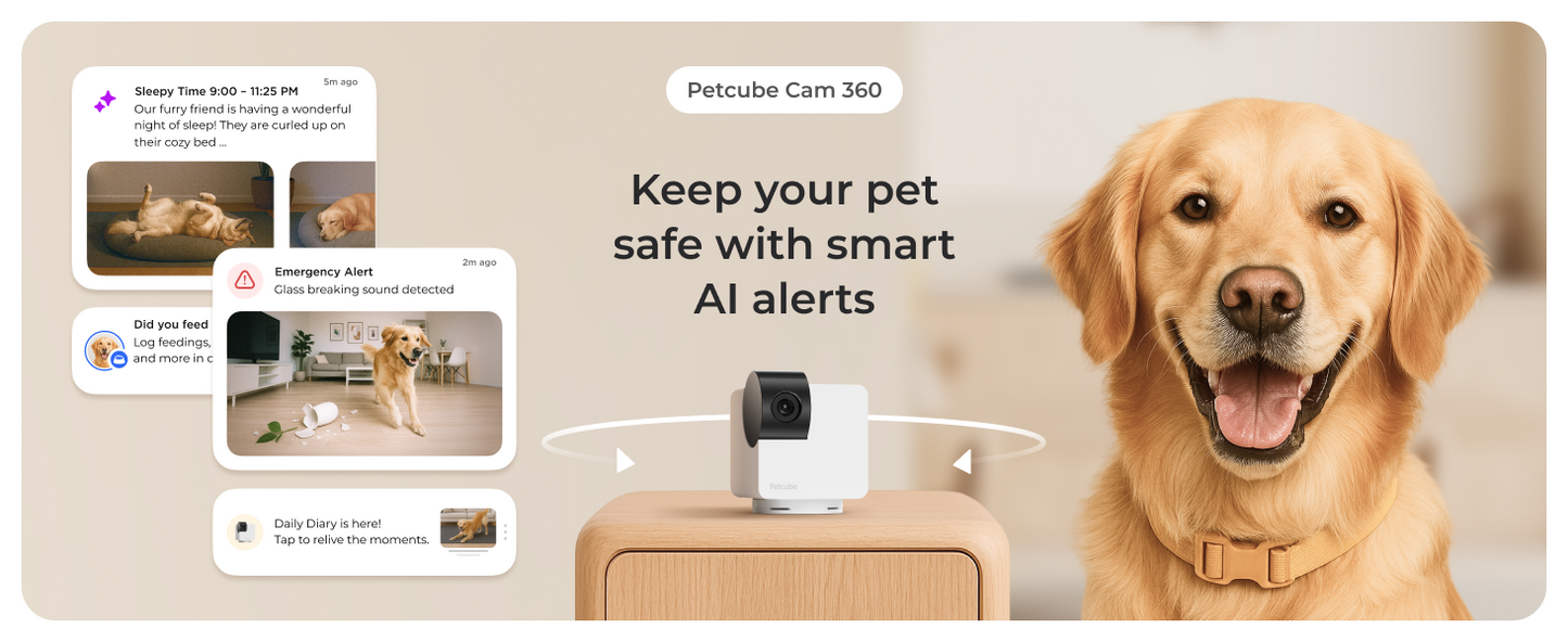 Petcube Cam 360 WiFi 1080p with Night Vision | Cat & Dog Pet Monitoring Camera