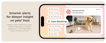 Petcube Cam 360 WiFi 1080p with Night Vision | Cat & Dog Pet Monitoring Camera