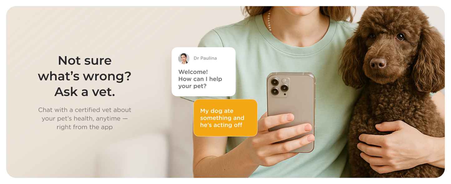 Petcube Cam 360 WiFi 1080p with Night Vision | Cat & Dog Pet Monitoring Camera