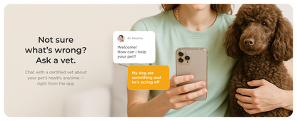 Petcube Cam 360 WiFi 1080p with Night Vision | Cat & Dog Pet Monitoring Camera