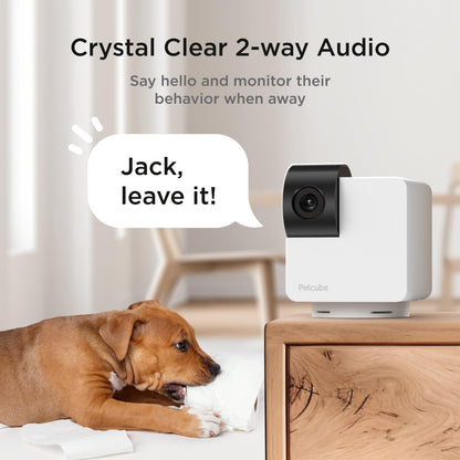 Petcube Cam 360 WiFi 1080p with Night Vision | Cat & Dog Pet Monitoring Camera