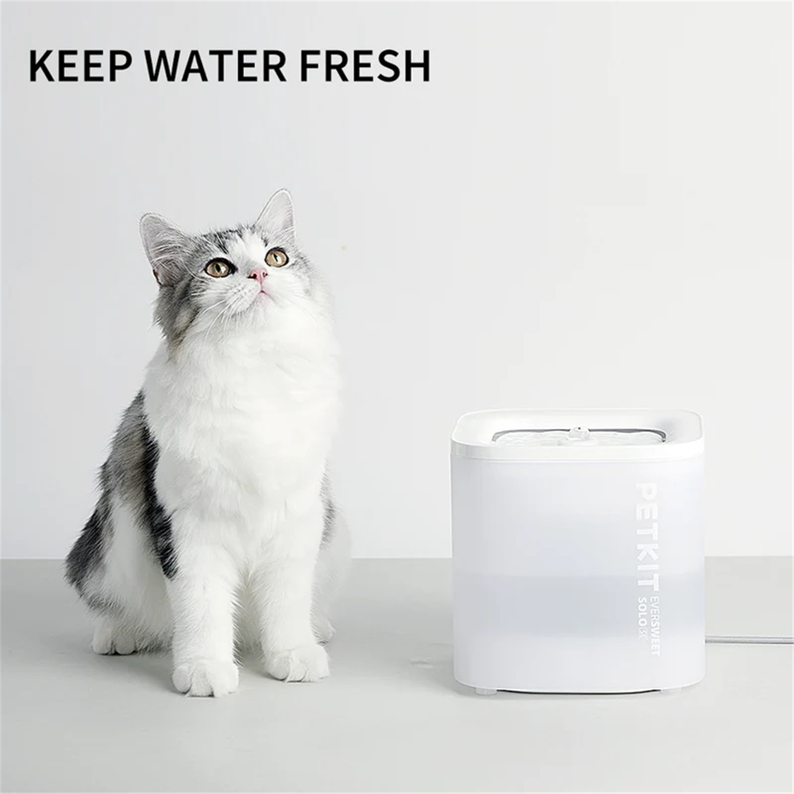 Petkit Eversweet Solo SE Pet Water Fountain for Cats & Dogs 1.8L USB DC 5V Powered White