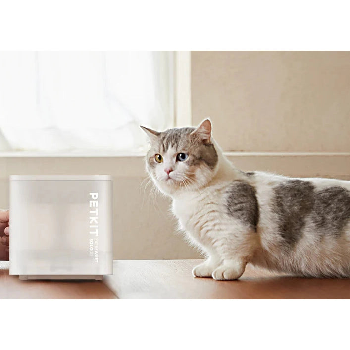 Petkit Eversweet Solo SE Pet Water Fountain for Cats & Dogs 1.8L USB DC 5V Powered White
