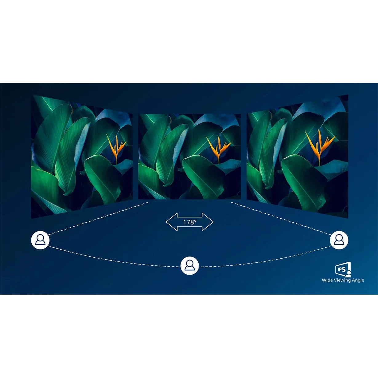 Philips Brilliance 438P1/75 43" | 4K UHD 3840 x 2160 | 16:9 | 5ms | 75Hz IPS | MultiView P-Line Monitor